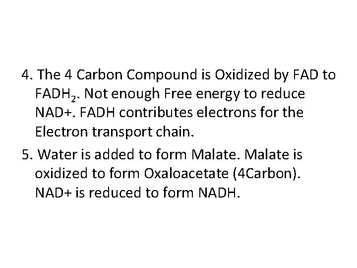 4. The 4 Carbon Compound is Oxidized by FAD to FADH 2. Not enough