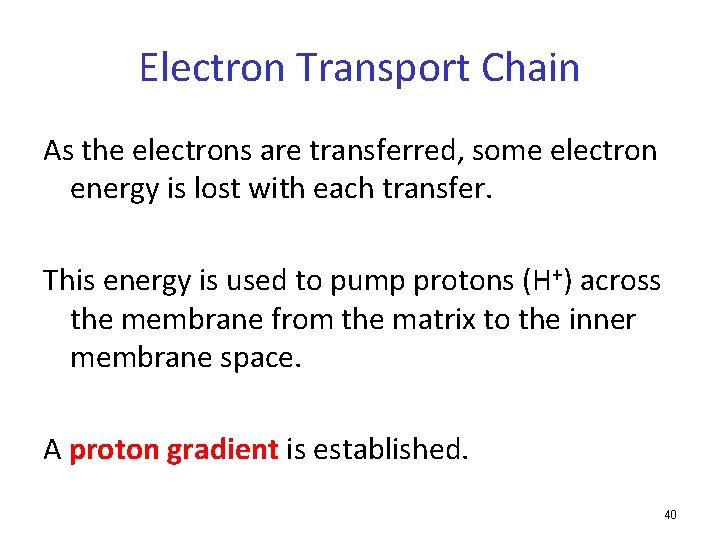 Electron Transport Chain As the electrons are transferred, some electron energy is lost with