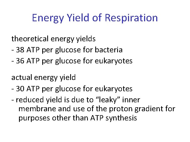 Energy Yield of Respiration theoretical energy yields - 38 ATP per glucose for bacteria