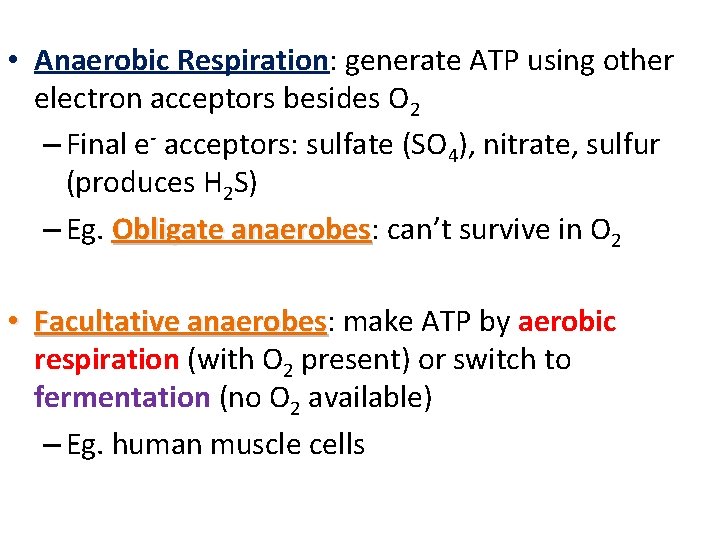  • Anaerobic Respiration: generate ATP using other electron acceptors besides O 2 –