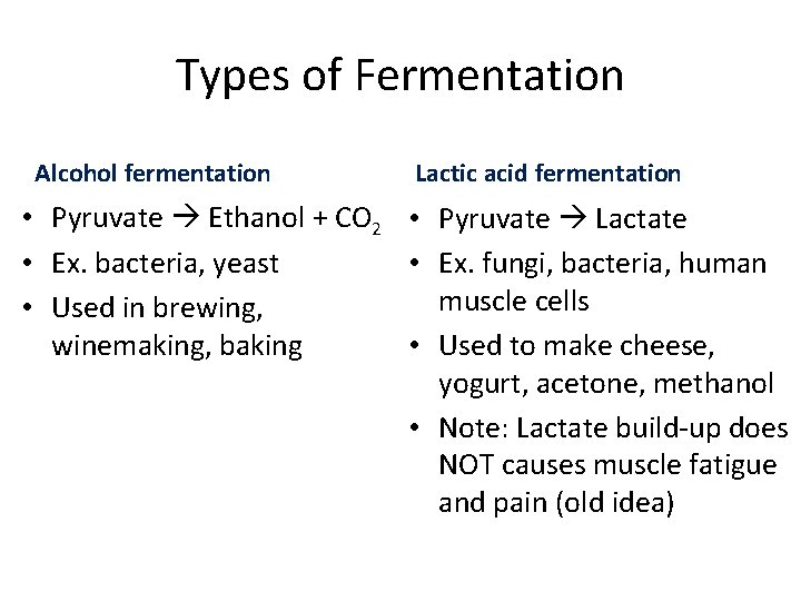 Types of Fermentation Alcohol fermentation Lactic acid fermentation • Pyruvate Ethanol + CO 2