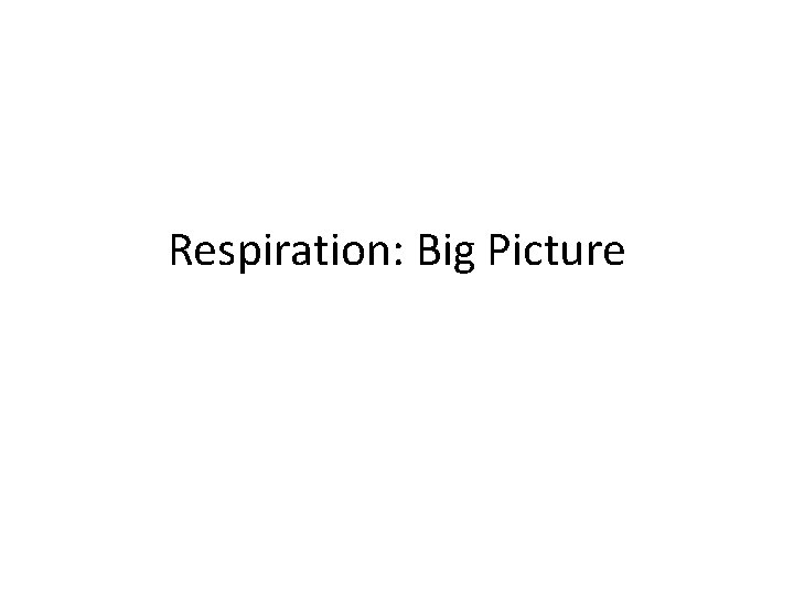Respiration: Big Picture 