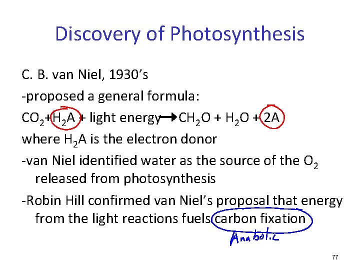 Discovery of Photosynthesis C. B. van Niel, 1930’s -proposed a general formula: CO 2+H