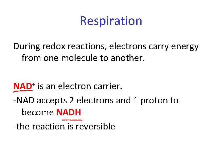 Respiration During redox reactions, electrons carry energy from one molecule to another. NAD+ is