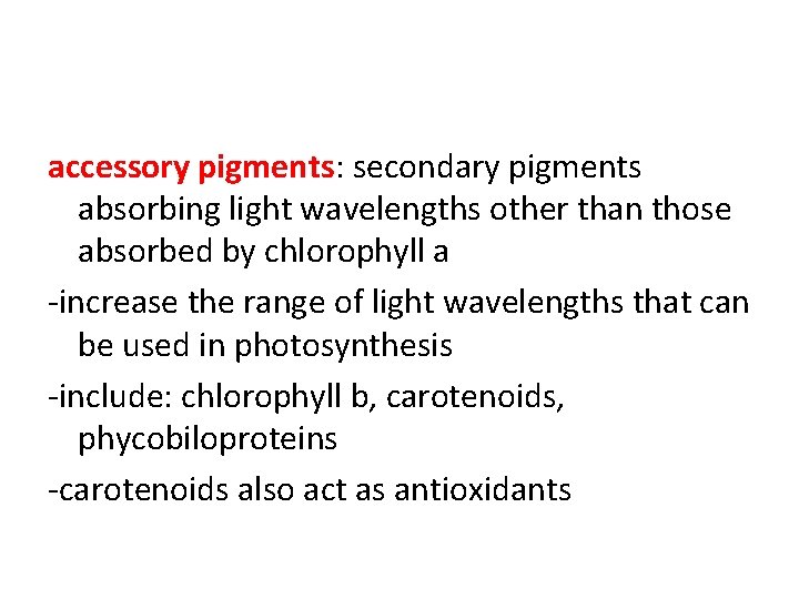 accessory pigments: secondary pigments absorbing light wavelengths other than those absorbed by chlorophyll a