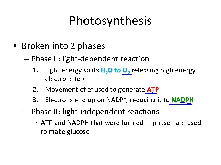 Photosynthesis • Broken into 2 phases – Phase I : light-dependent reaction 1. Light