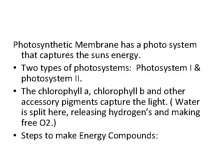 Photosynthetic Membrane has a photo system that captures the suns energy. • Two types