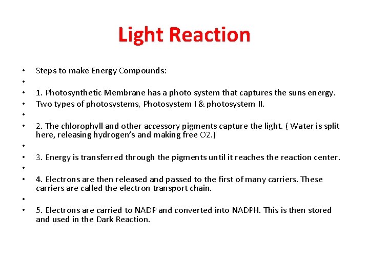 Light Reaction • • • Steps to make Energy Compounds: 1. Photosynthetic Membrane has
