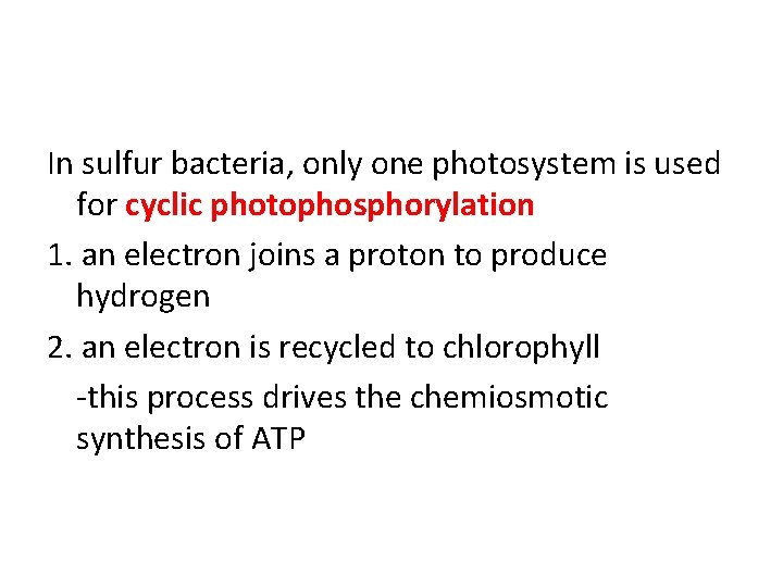 In sulfur bacteria, only one photosystem is used for cyclic photophosphorylation 1. an electron