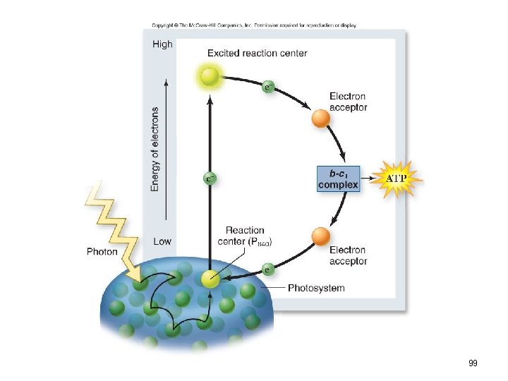 99 