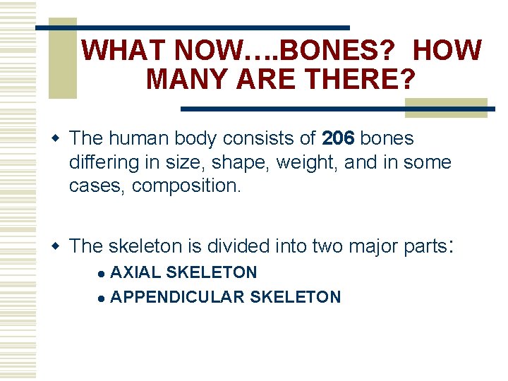 WHAT NOW…. BONES? HOW MANY ARE THERE? w The human body consists of 206