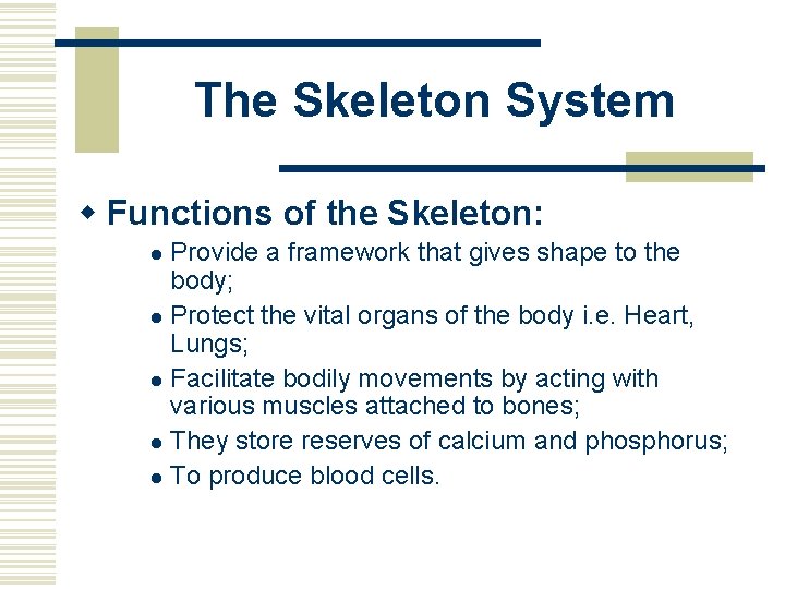 The Skeleton System w Functions of the Skeleton: Provide a framework that gives shape