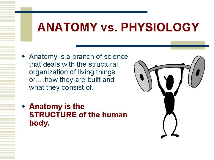 ANATOMY vs. PHYSIOLOGY w Anatomy is a branch of science that deals with the