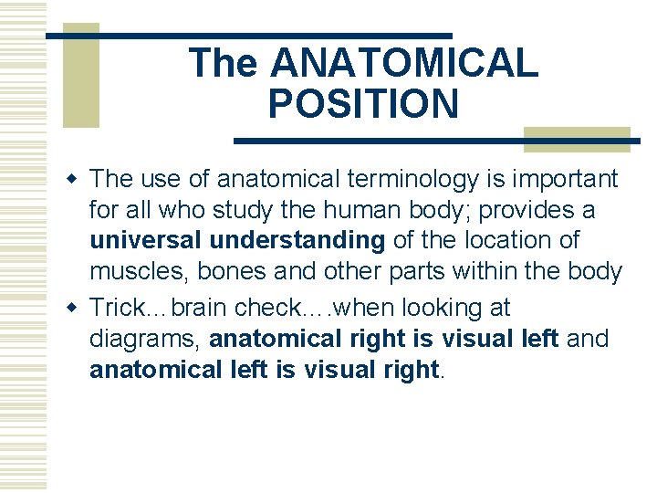 The ANATOMICAL POSITION w The use of anatomical terminology is important for all who