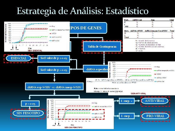 Estrategia de Análisis: Estadístico FENOTIPOS DE GENES Mortalidad de cada tratamiento ESENCIAL Tabla de