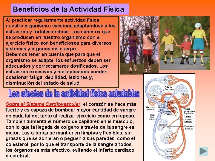 Beneficios de la Actividad Física Al practicar regularmente actividad física nuestro organismo reacciona adaptándose