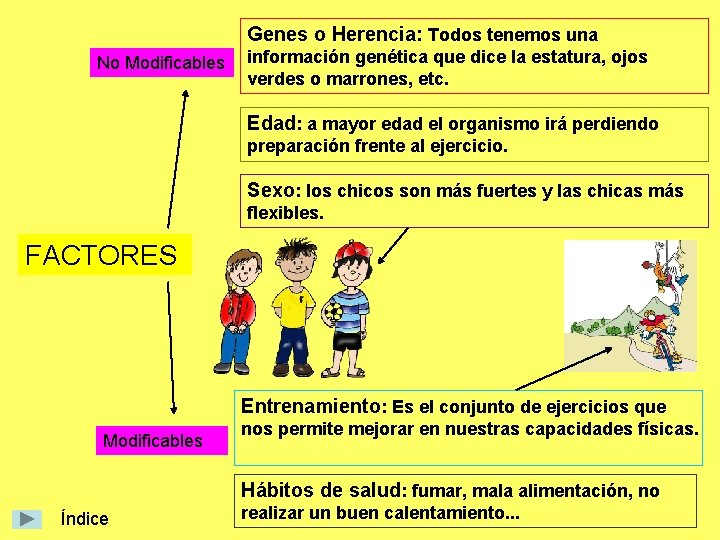 Genes o Herencia: Todos tenemos una No Modificables información genética que dice la estatura,