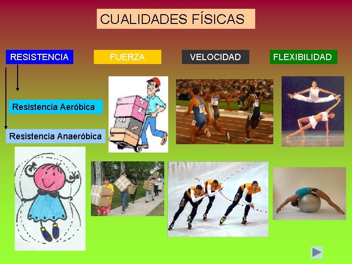 CUALIDADES FÍSICAS RESISTENCIA Resistencia Aeróbica Resistencia Anaeróbica FUERZA VELOCIDAD FLEXIBILIDAD 