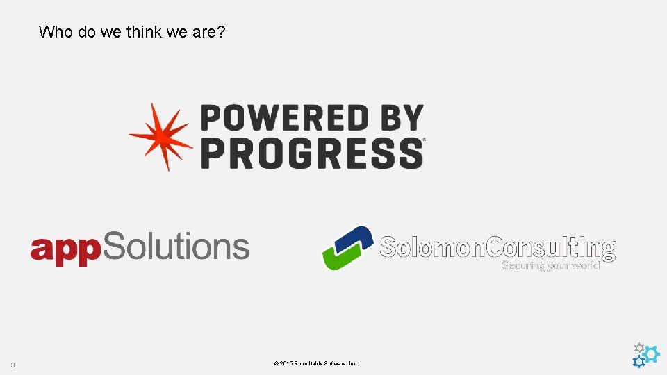 Who do we think we are? 3 © 2015 Roundtable Software, Inc. 