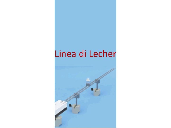 Linea di Lecher 