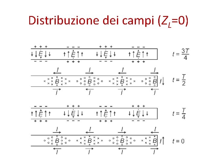 Distribuzione dei campi (ZL=0) 