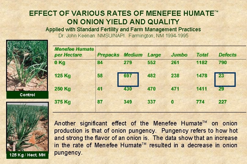 EFFECT OF VARIOUS RATES OF MENEFEE HUMATE ON ONION YIELD AND QUALITY TM Applied