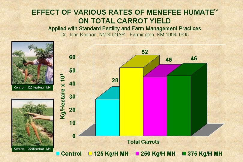 EFFECT OF VARIOUS RATES OF MENEFEE HUMATE ON TOTAL CARROT YIELD Applied with Standard