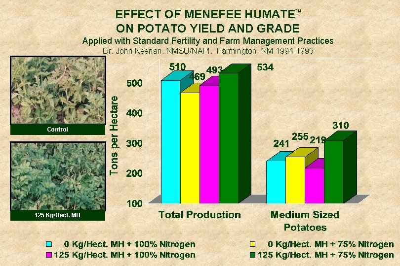 EFFECT OF MENEFEE HUMATE ON POTATO YIELD AND GRADE TM Applied with Standard Fertility