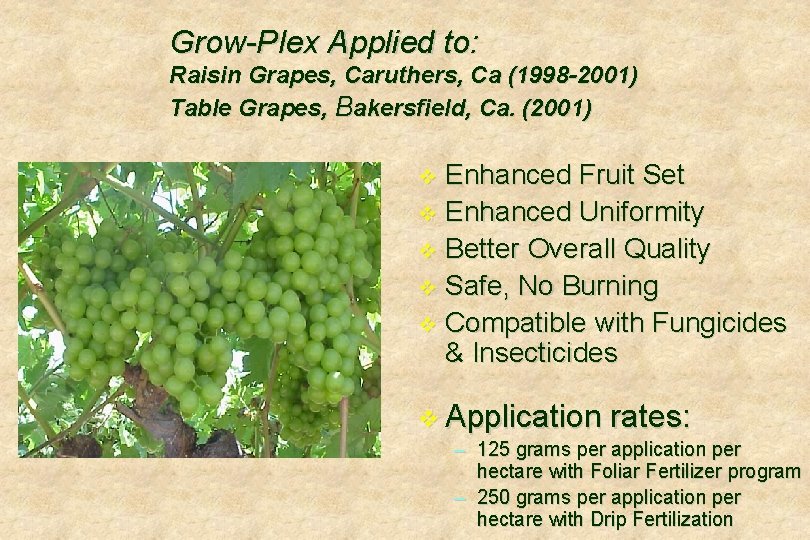Grow-Plex Applied to: Raisin Grapes, Caruthers, Ca (1998 -2001) Table Grapes, Bakersfield, Ca. (2001)