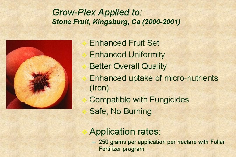Grow-Plex Applied to: Stone Fruit, Kingsburg, Ca (2000 -2001) Enhanced Fruit Set v Enhanced