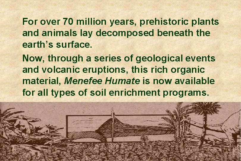 For over 70 million years, prehistoric plants and animals lay decomposed beneath the earth’s