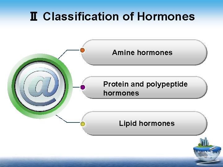 Ⅱ Classification of Hormones Amine hormones Protein and polypeptide hormones Lipid hormones 