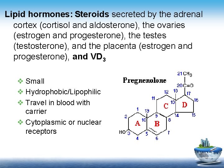 Lipid hormones: Steroids secreted by the adrenal cortex (cortisol and aldosterone), the ovaries (estrogen