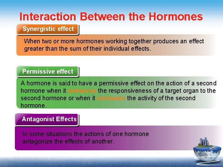 Interaction Between the Hormones Synergistic effect When two or more hormones working together produces