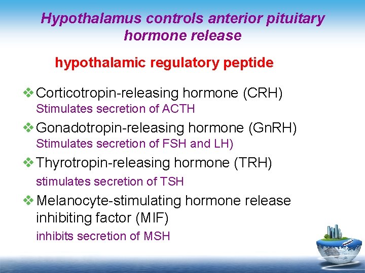 Hypothalamus controls anterior pituitary hormone release hypothalamic regulatory peptide v Corticotropin-releasing hormone (CRH) Stimulates