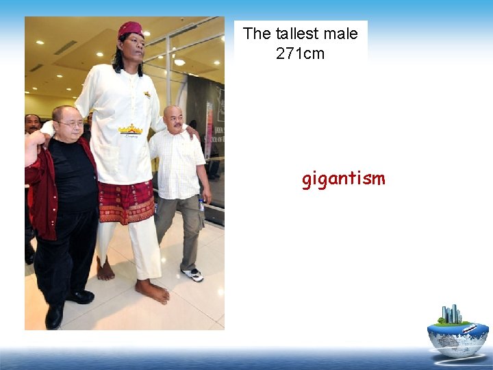 The tallest male 271 cm gigantism Gigantism 