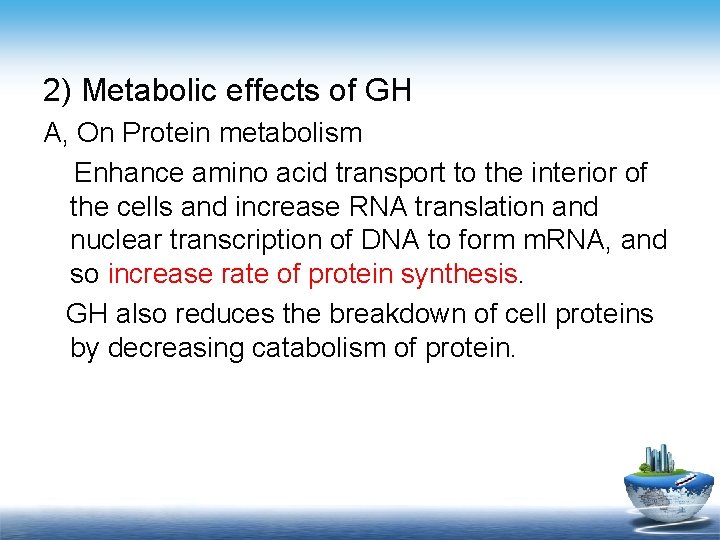 2) Metabolic effects of GH A, On Protein metabolism Enhance amino acid transport to