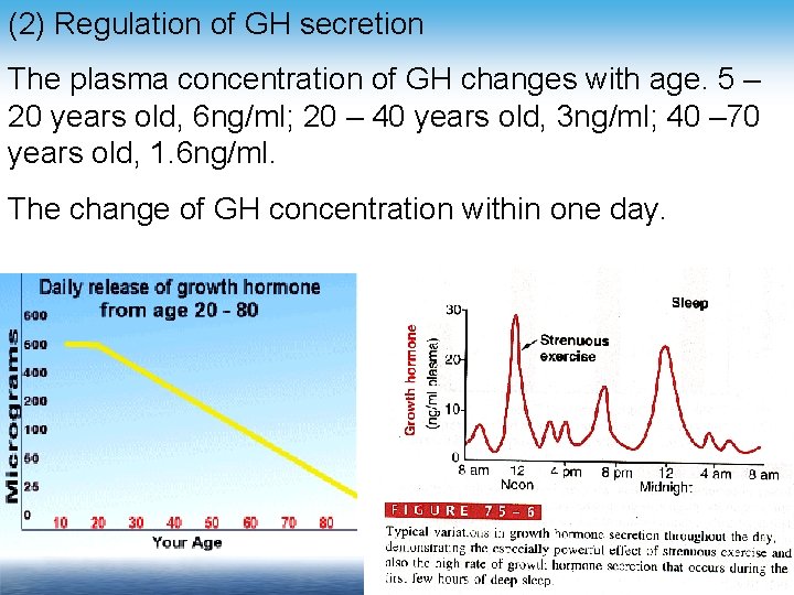 (2) Regulation of GH secretion The plasma concentration of GH changes with age. 5