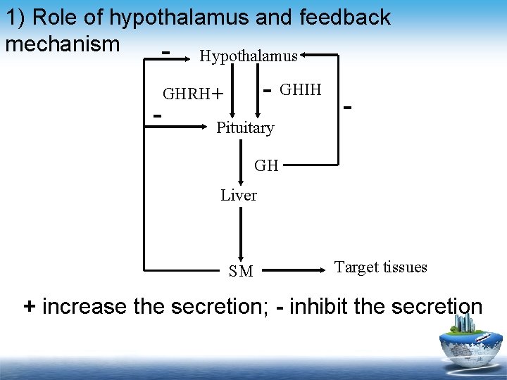 1) Role of hypothalamus and feedback mechanism - Hypothalamus - - GHIH GHRH +
