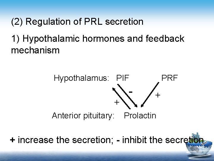 (2) Regulation of PRL secretion 1) Hypothalamic hormones and feedback mechanism Hypothalamus: PIF +