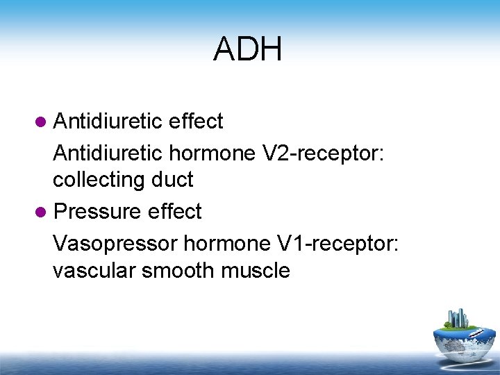 ADH l Antidiuretic effect Antidiuretic hormone V 2 -receptor: collecting duct l Pressure effect