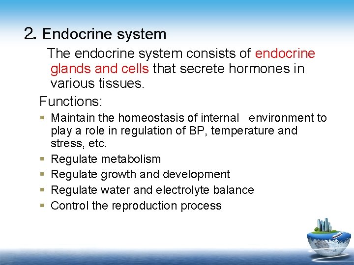 ⒉ Endocrine system The endocrine system consists of endocrine glands and cells that secrete