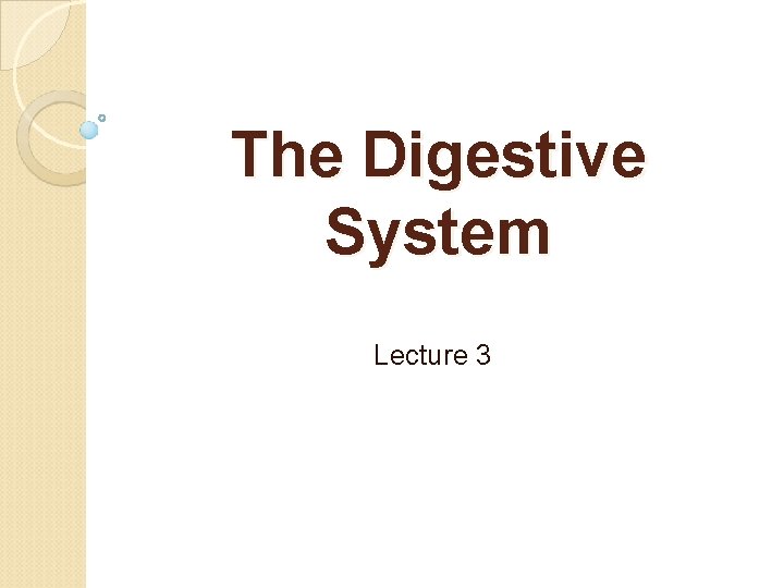 The Digestive System Lecture 3 