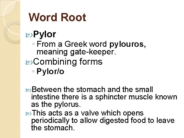 Word Root Pylor ◦ From a Greek word pylouros, meaning gate-keeper. Combining ◦ Pylor/o