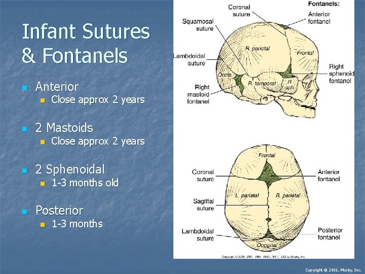 Infant Sutures & Fontanels n Anterior n n 2 Mastoids n n Close approx Infant Sutures & Fontanels n Anterior n n 2 Mastoids n n Close approx