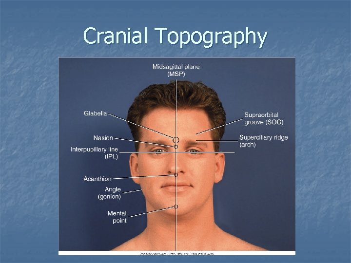 Cranial Topography Cranial Topography