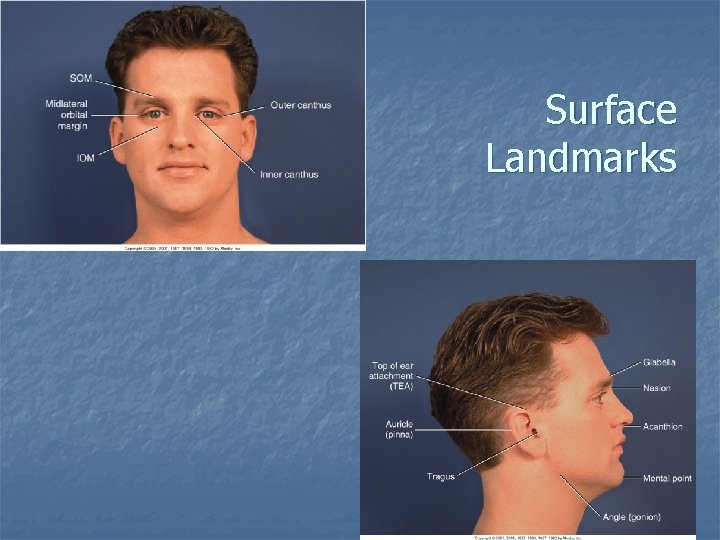 Surface Landmarks Surface Landmarks
