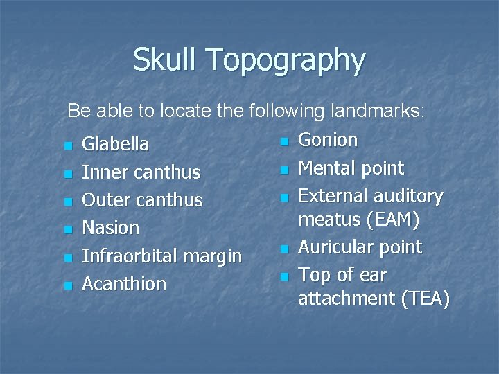 Skull Topography Be able to locate the following landmarks: n n n Glabella Inner Skull Topography Be able to locate the following landmarks: n n n Glabella Inner
