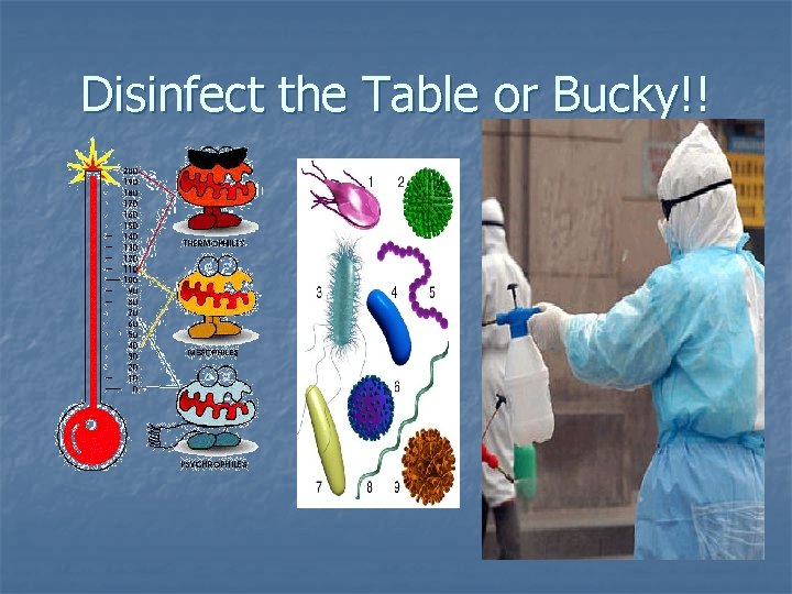 Disinfect the Table or Bucky!! Disinfect the Table or Bucky!!