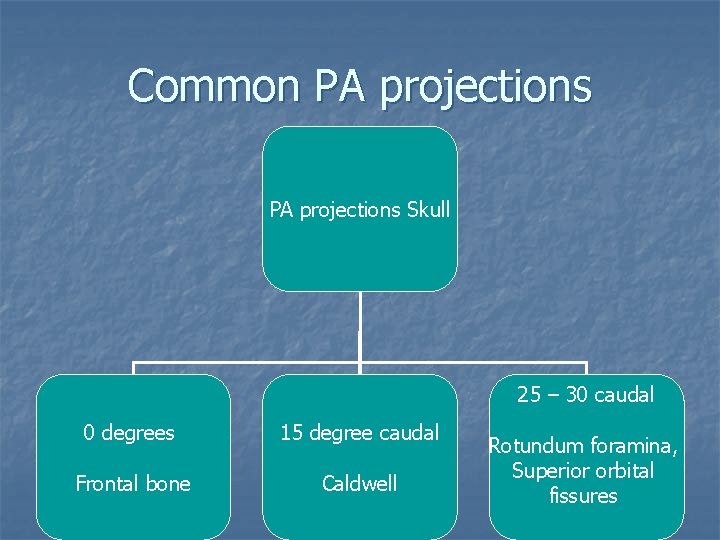 Common PA projections Skull 25 – 30 caudal 0 degrees 15 degree caudal Frontal Common PA projections Skull 25 – 30 caudal 0 degrees 15 degree caudal Frontal